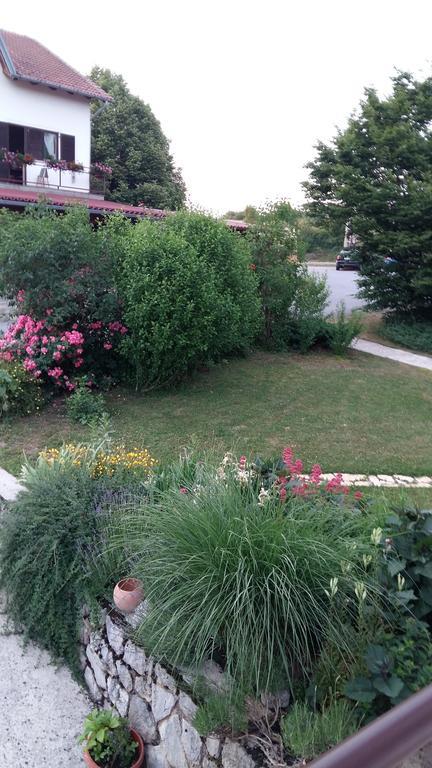 House Tudic Apartment Dreznik Grad Phòng bức ảnh