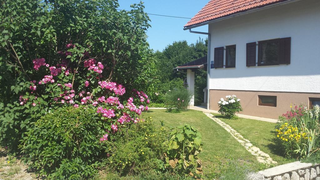 House Tudic Apartment Dreznik Grad Phòng bức ảnh
