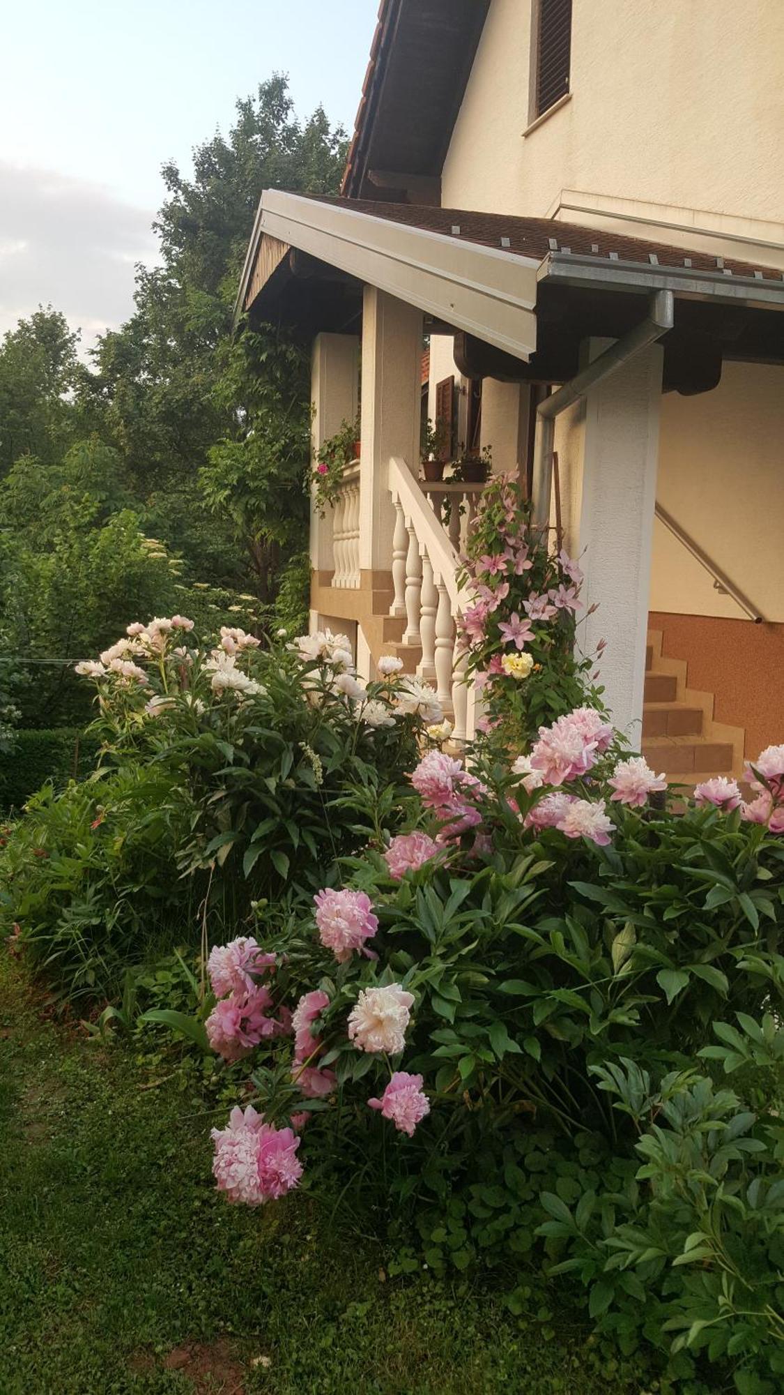 House Tudic Apartment Dreznik Grad Ngoại thất bức ảnh
