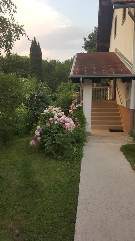 House Tudic Apartment Dreznik Grad Ngoại thất bức ảnh