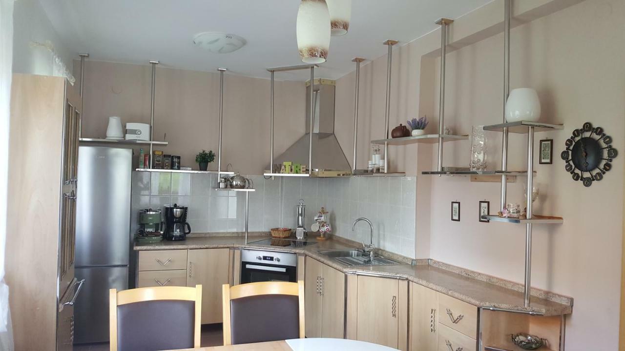 House Tudic Apartment Dreznik Grad Ngoại thất bức ảnh