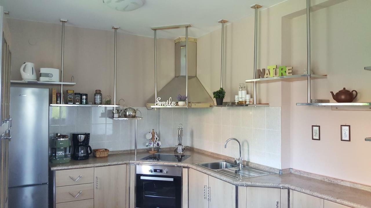 House Tudic Apartment Dreznik Grad Ngoại thất bức ảnh
