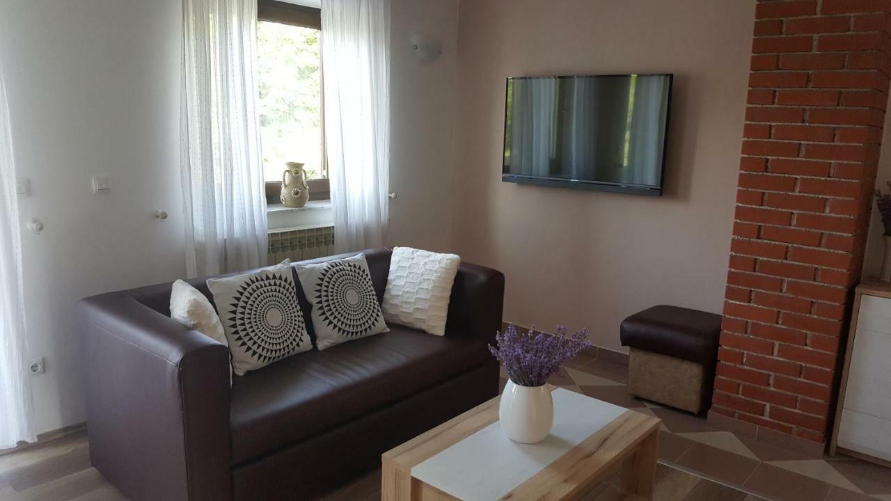 House Tudic Apartment Dreznik Grad Ngoại thất bức ảnh