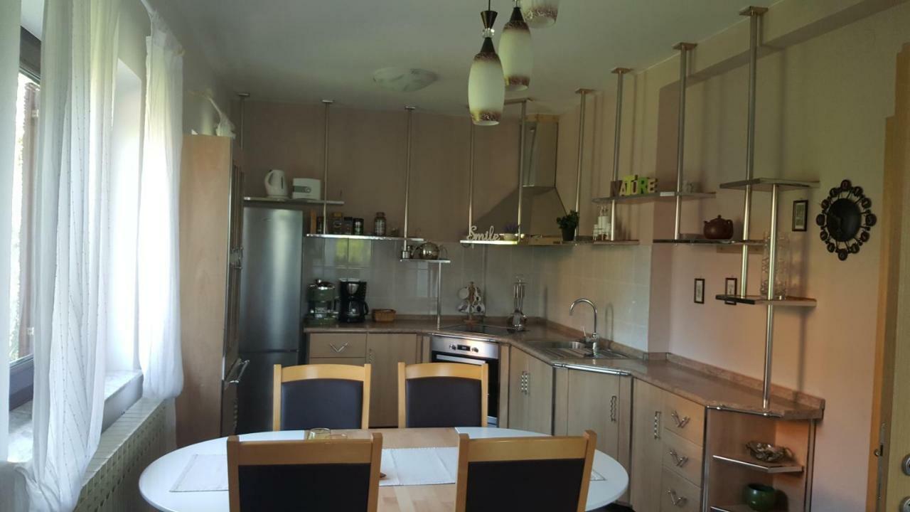 House Tudic Apartment Dreznik Grad Ngoại thất bức ảnh